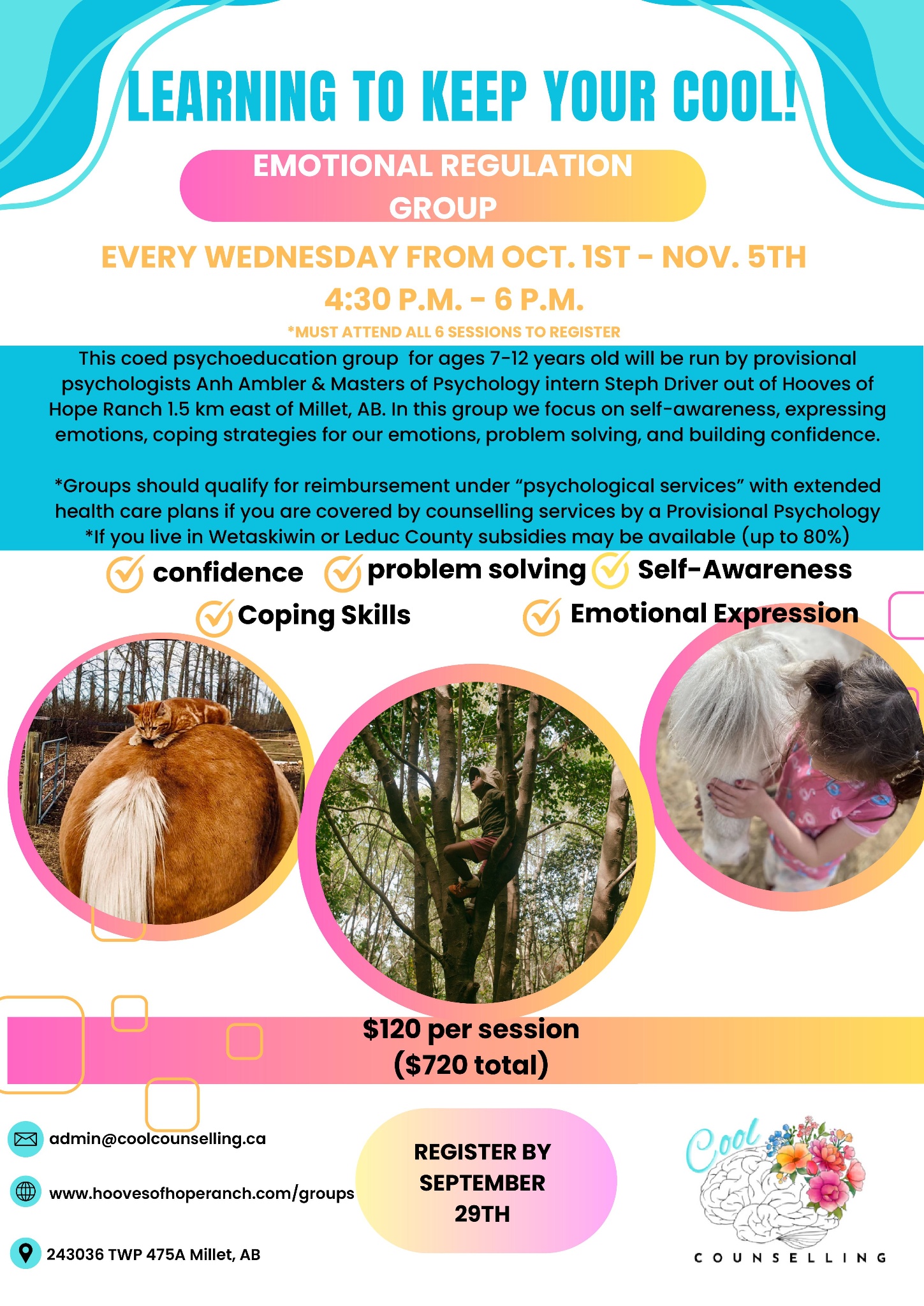 Emotionregulationgroupposter