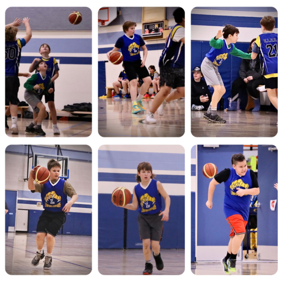 LPS bball 01 25